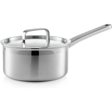 Durable Stainless Steel Saucepan Ergonomic Handle, Secure Lid, Gas and Electric Compatible Manufacturers, Suppliers in Delhi