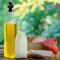 Glass Cooking Oil Bottle – Airtight Seal for Freshness & Easy Pouring Manufacturers, Suppliers in Delhi