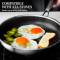 Nonstick Stainless Steel Frying Pan Perfect for Pancakes, Omelets, Steaks and More, Gas and Induction Compatible Manufacturers, Suppliers in Sonipat