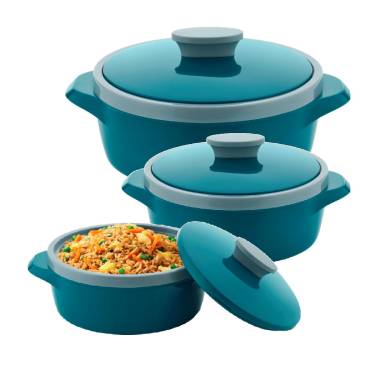 Printed Insulated Casserole – Keeps Food Hot Easy-to-Carry Handles Manufacturers, Suppliers in Delhi