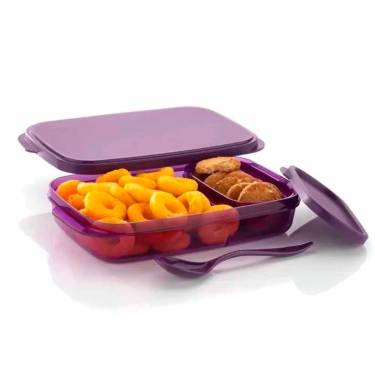 Purple Dishwasher Safe Plastic Lunch Box – Lightweight, Leakproof, Secure Lid, Perfect for Meal Prep Manufacturers, Suppliers in Delhi